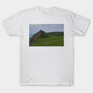 St Catherines Tor, Torridge, Devon T-Shirt